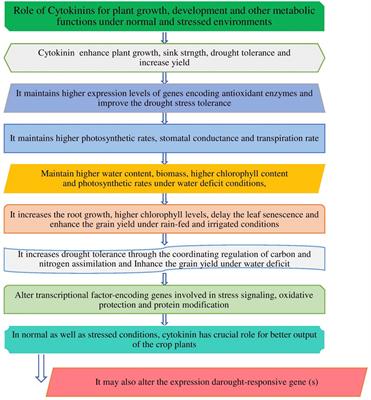 Cytokinin and Its Key Role to Enrich the Plant Nutrients and Growth Under Adverse Conditions-An Update